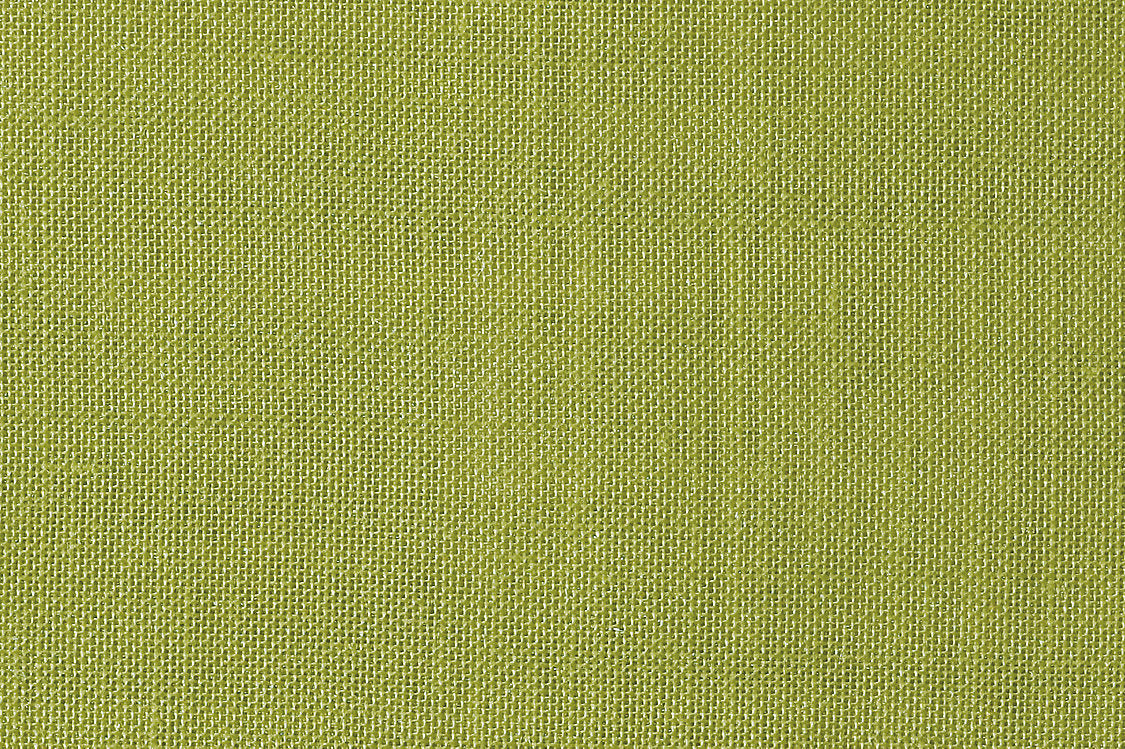 Alsara - Kiwi - Scalamandre Fabric