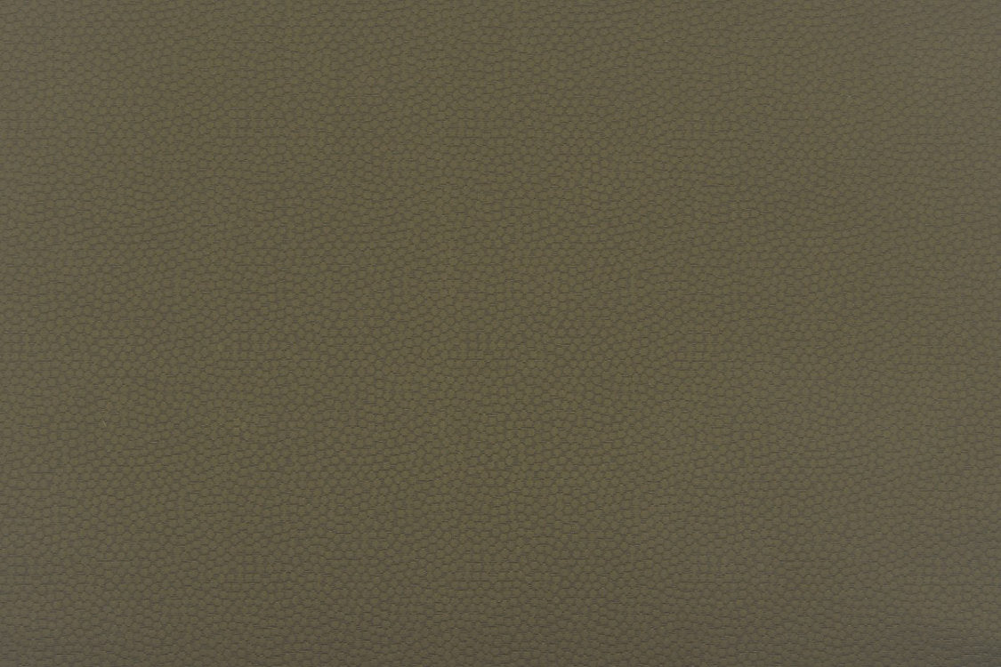 Sterling - Olive
