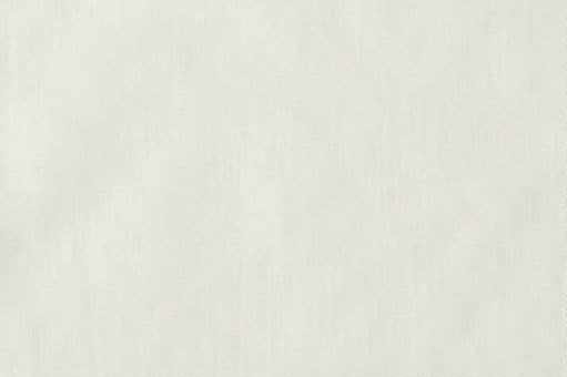 Legere - Vanilla - Scalamandre Fabric
