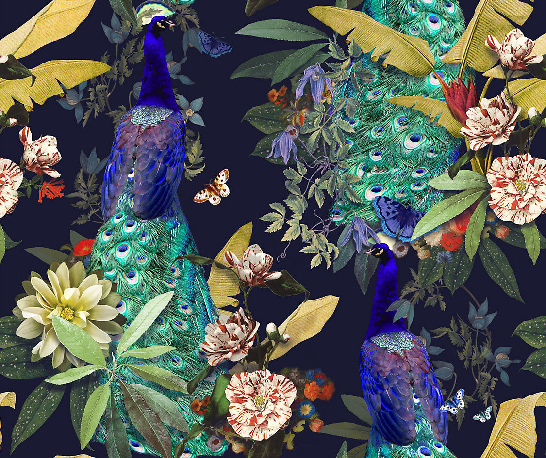 Peacock Society Warp Print - Peacock - Scalamandre Fabric