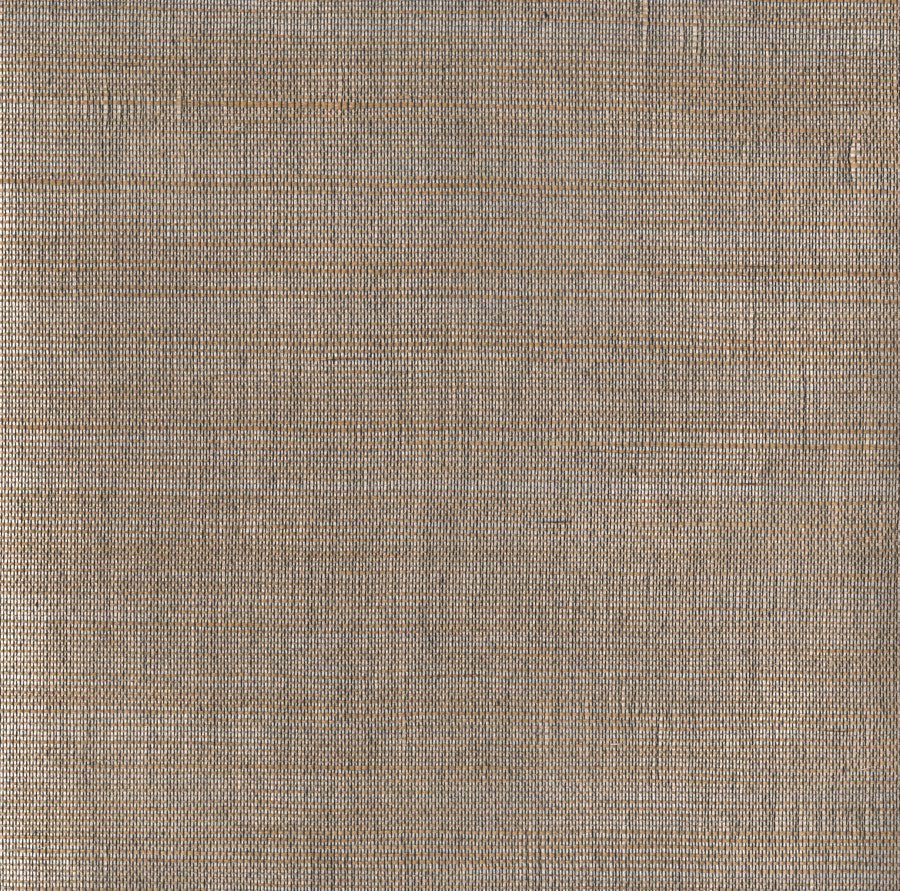 corso-cro-03-terra-innovations - Innovations Wallpaper