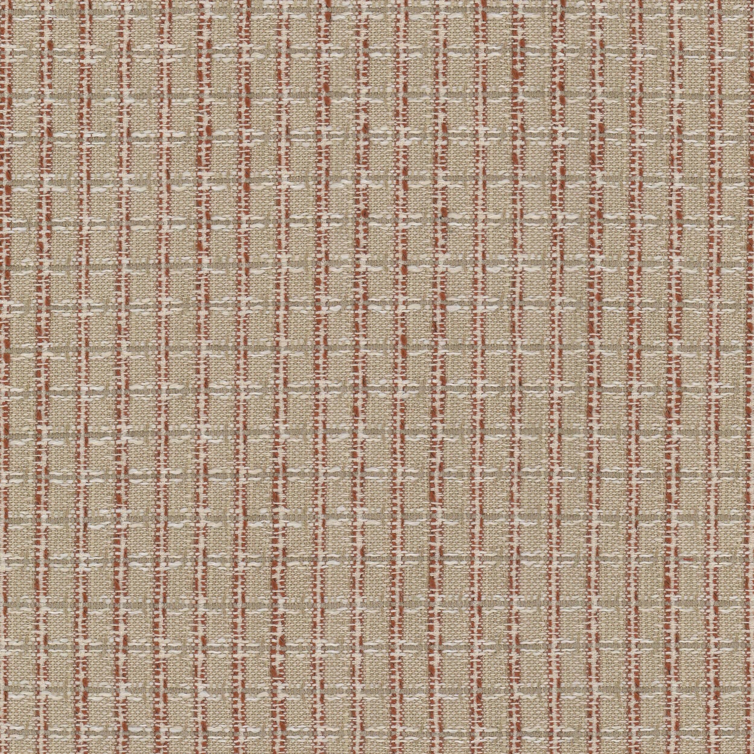 CURLEY-2-CAYENNE-STOUT-TEXTILES - Stout Textiles Fabric