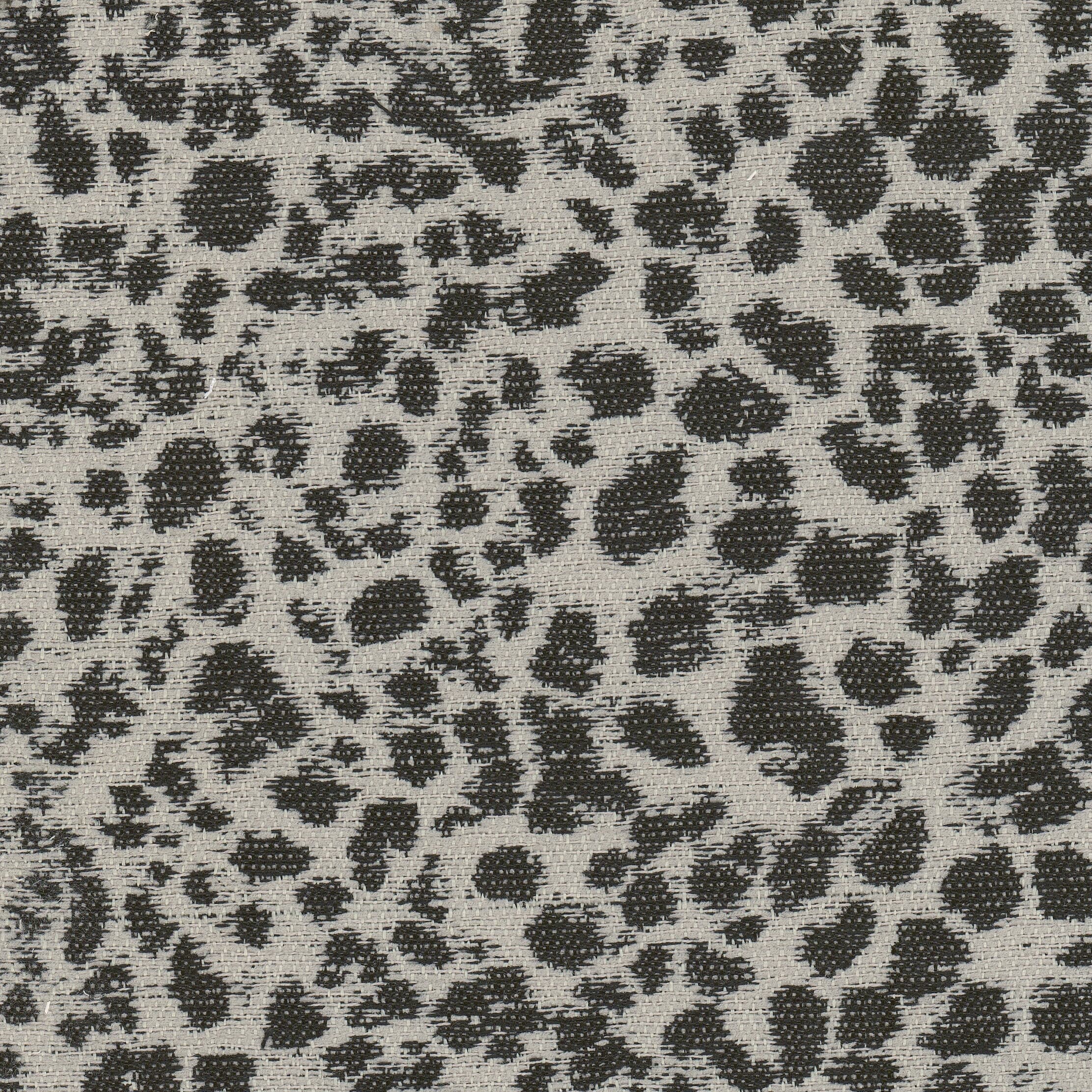 DALMATION-4-BLACKCAMEL-STOUT-TEXTILES - Stout Textiles Fabric