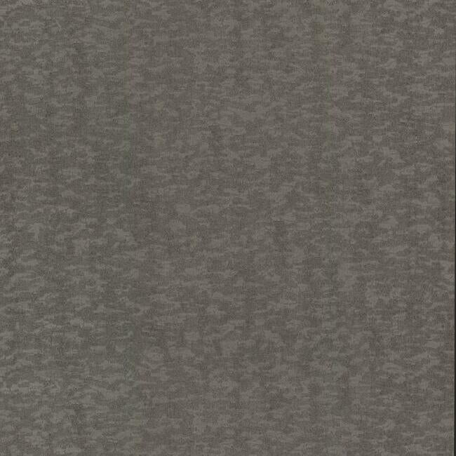 weathered-cypress-wallpaper-warm-silver-york-wallcoverings-dd3751