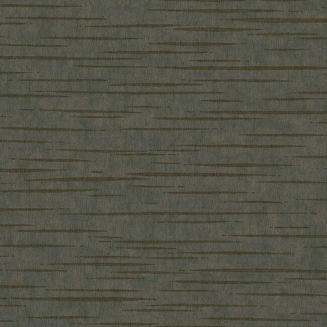 Tiger's Eye Wallpaper - Charcoal - York Wallcoverings - DD3765