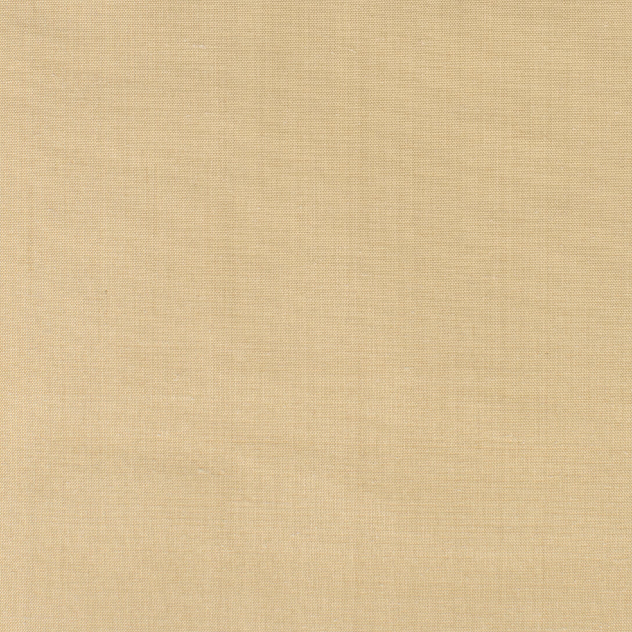 DUPIONI-17-CHAMOIS-STOUT-TEXTILES