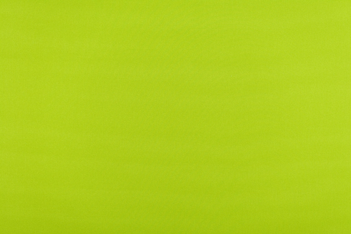 Reflecting Pool - Grass