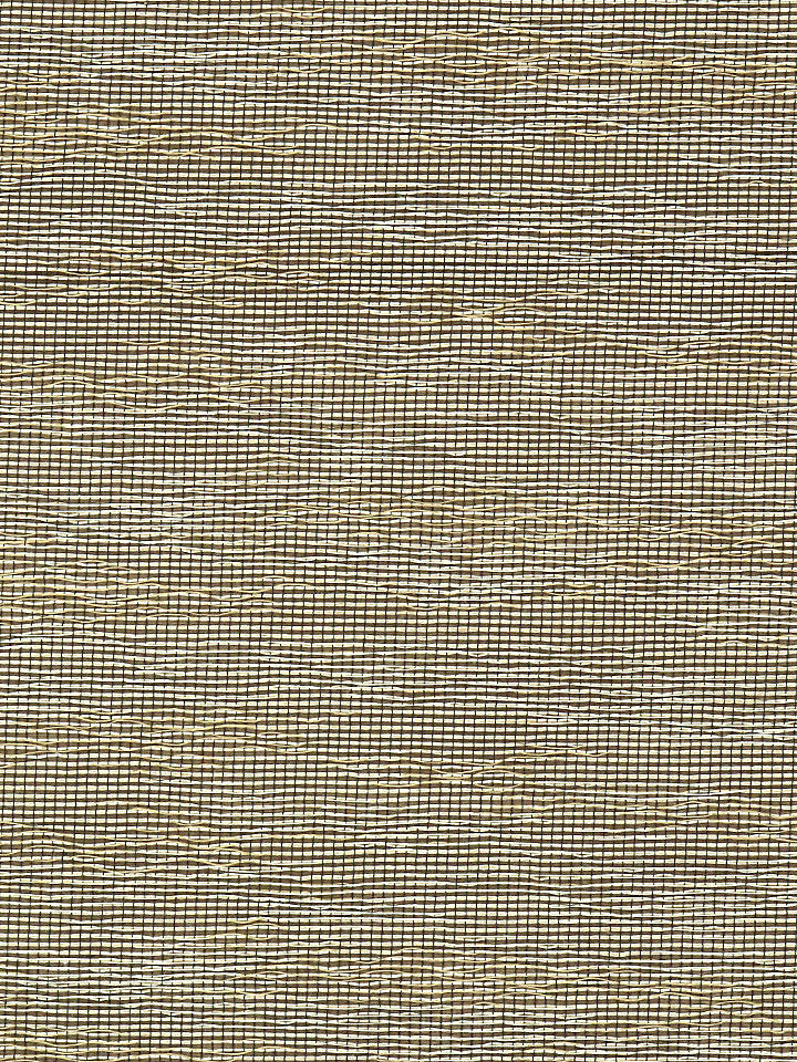 Untitled Sheer - Caramel - Scalamandre Fabric