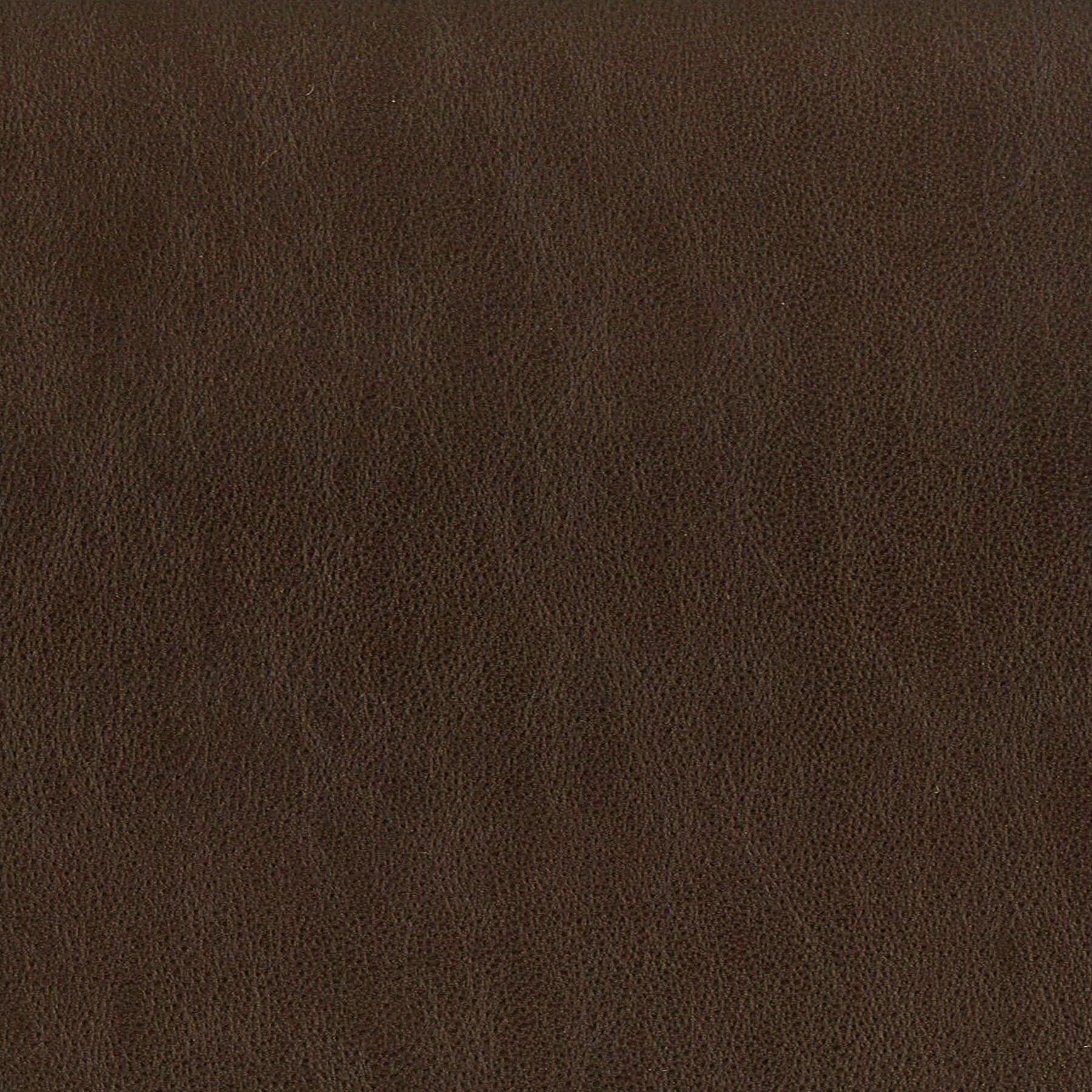 Elbert 5 Espresso by Stout Fabric