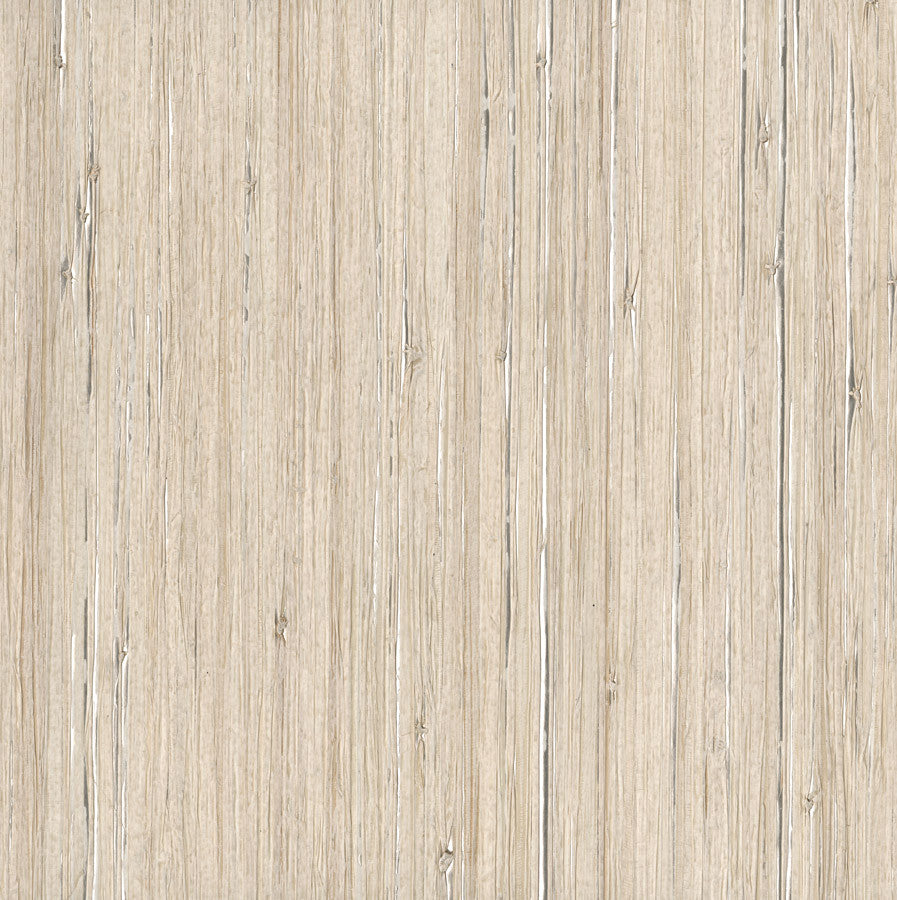 etoile-etl-02-riva-innovations