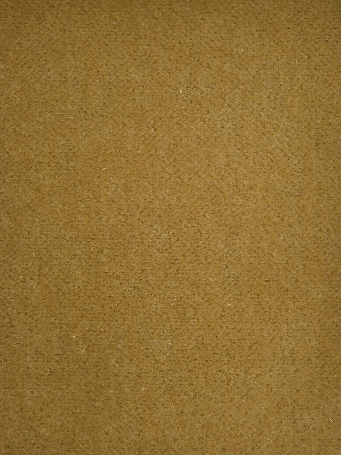 Trianon Velvet Ii - Gaude - Scalamandre Fabric
