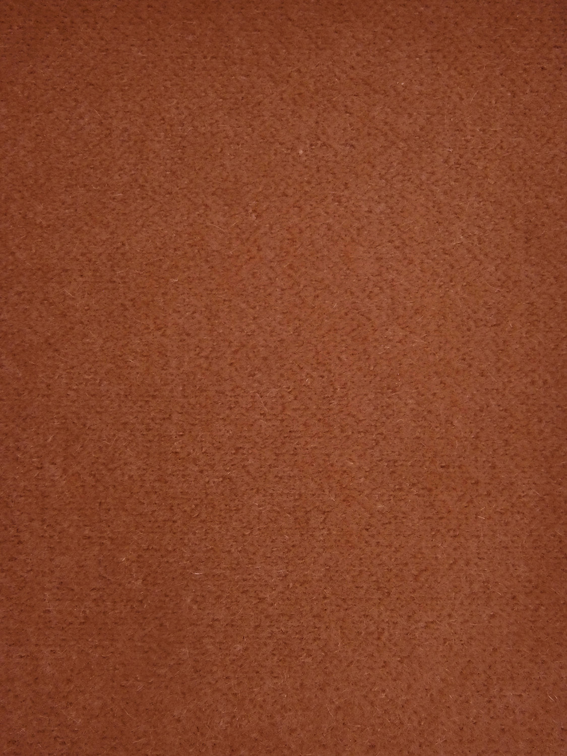 Trianon Velvet Ii - Etrusque - Scalamandre Fabric