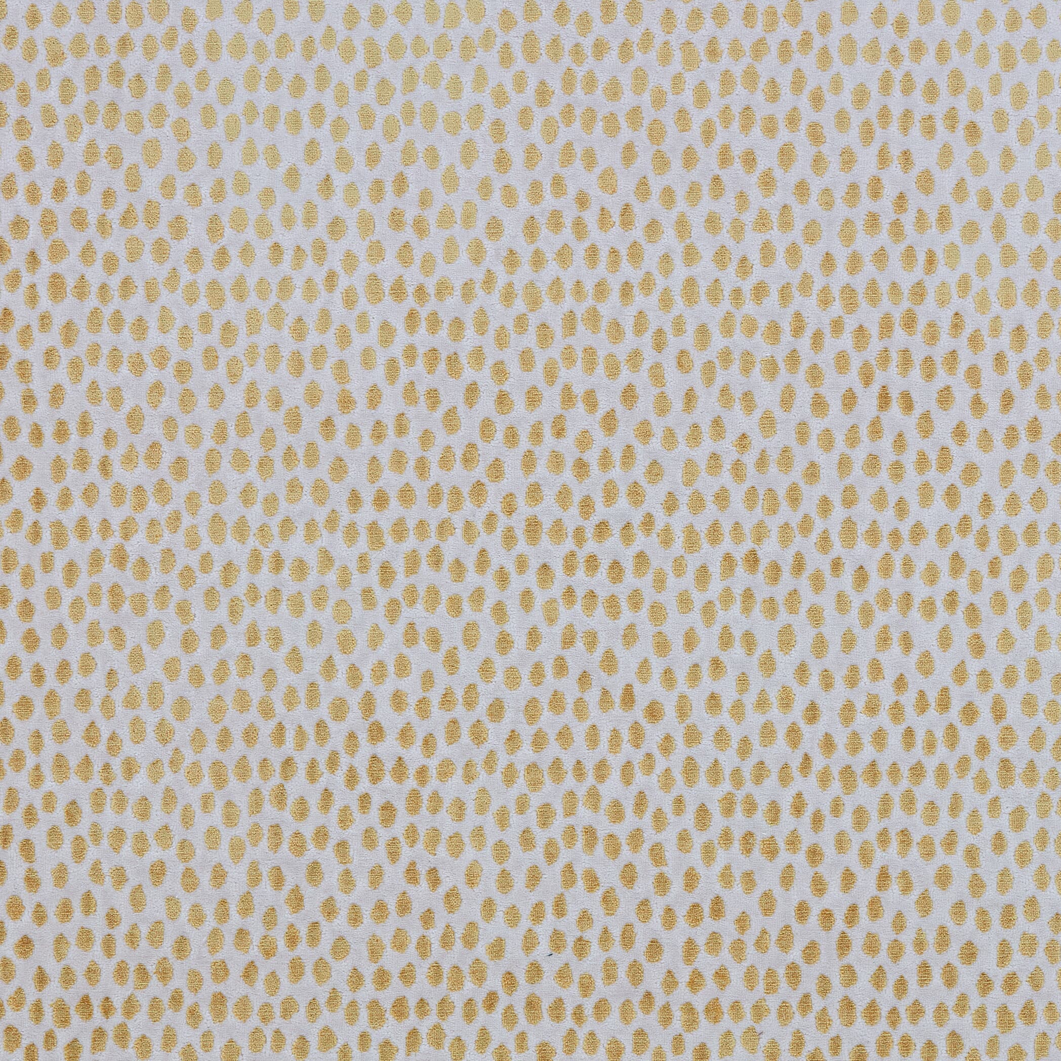 Frodo 6 Goldenrod by Stout Fabric