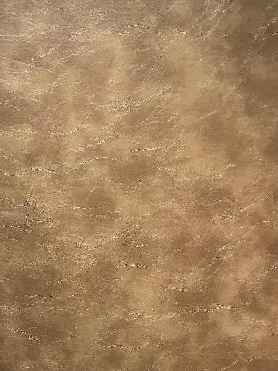 Elkhorn - Fawn - Scalamandre Fabric