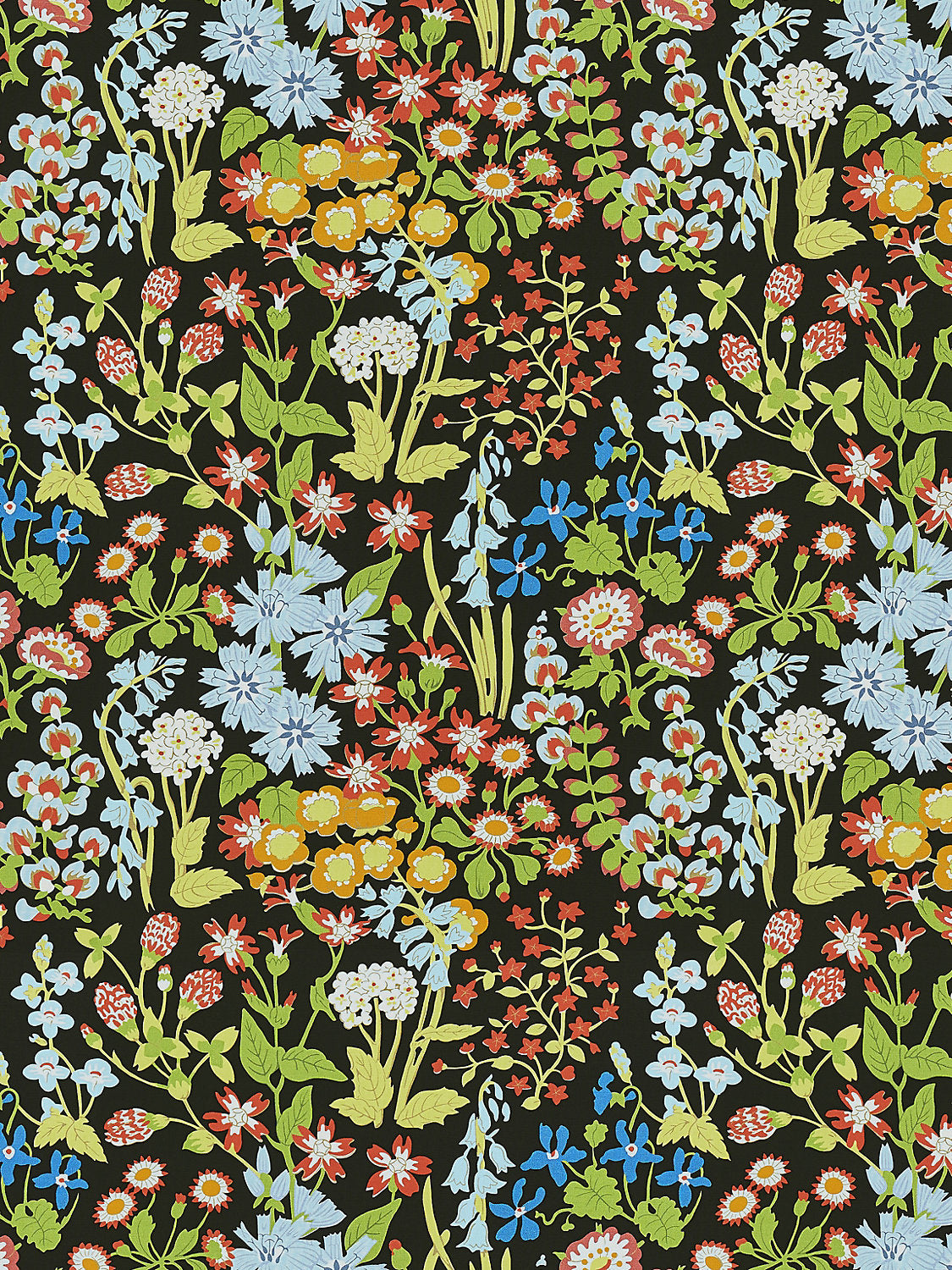Nymph Floral - Black Multi - Scalamandre Fabric