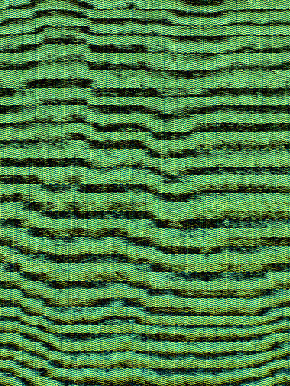 Reed Texture - Palm - Scalamandre Fabric