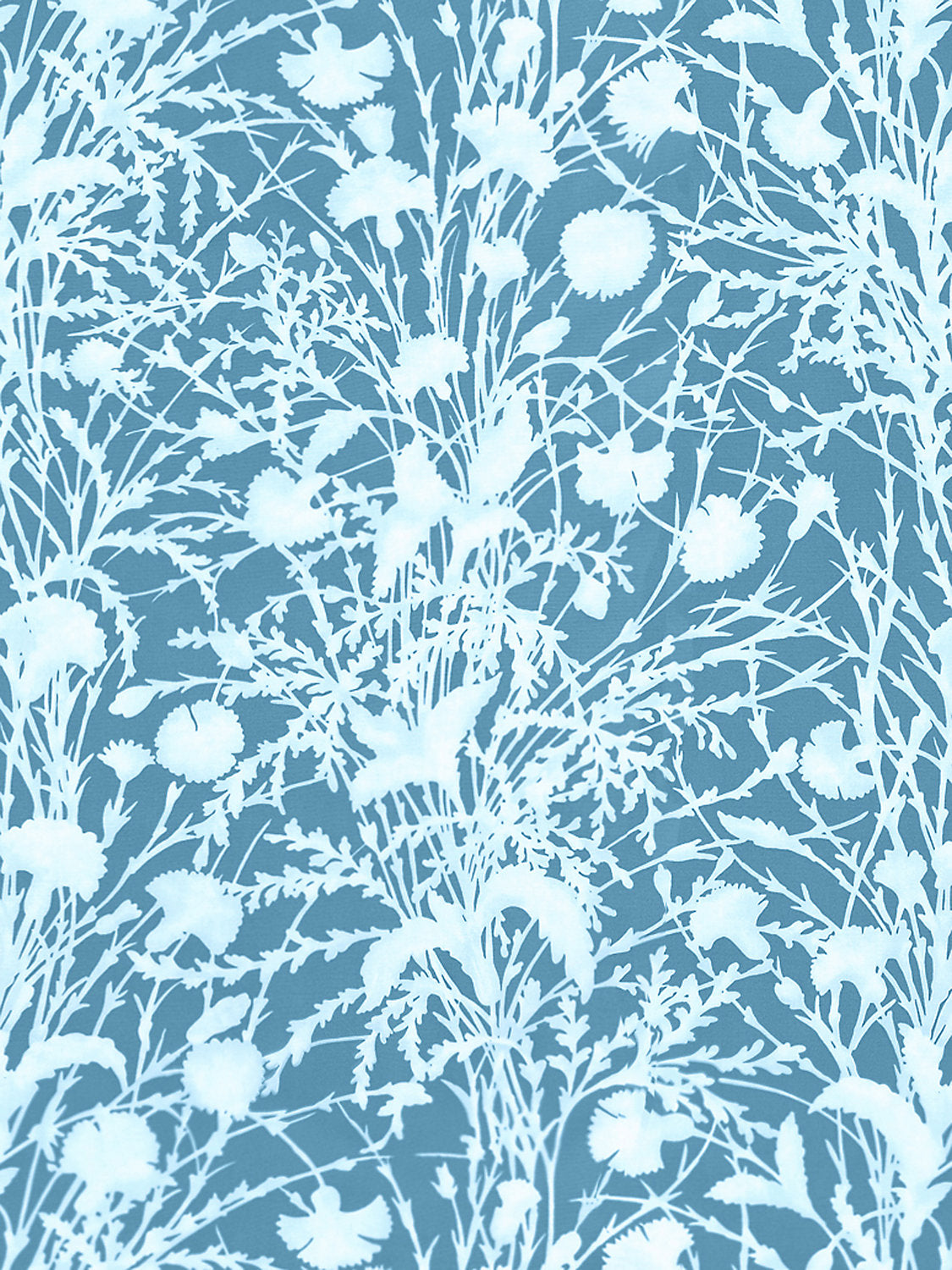 Wildflower - Blueprint