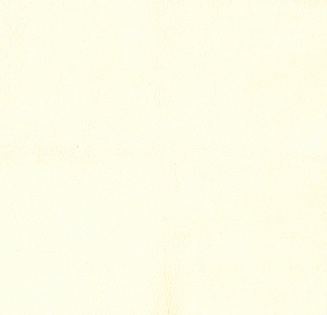 Western - Craie - Scalamandre Fabric