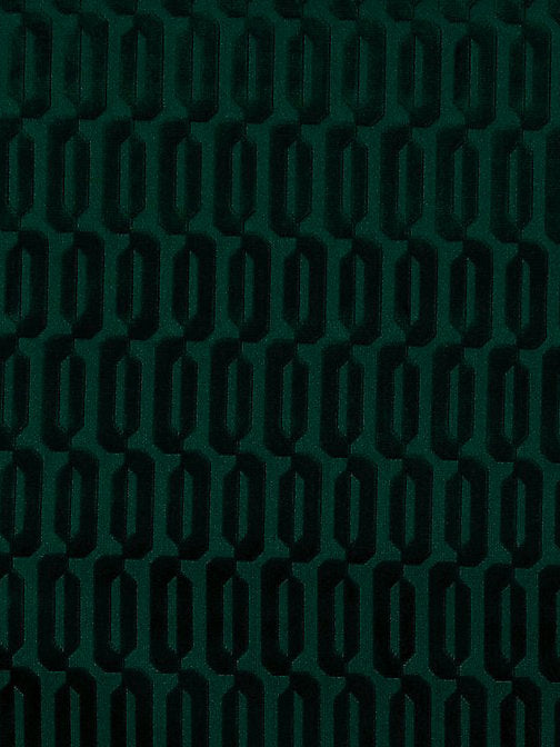 Typo M1 - Foret