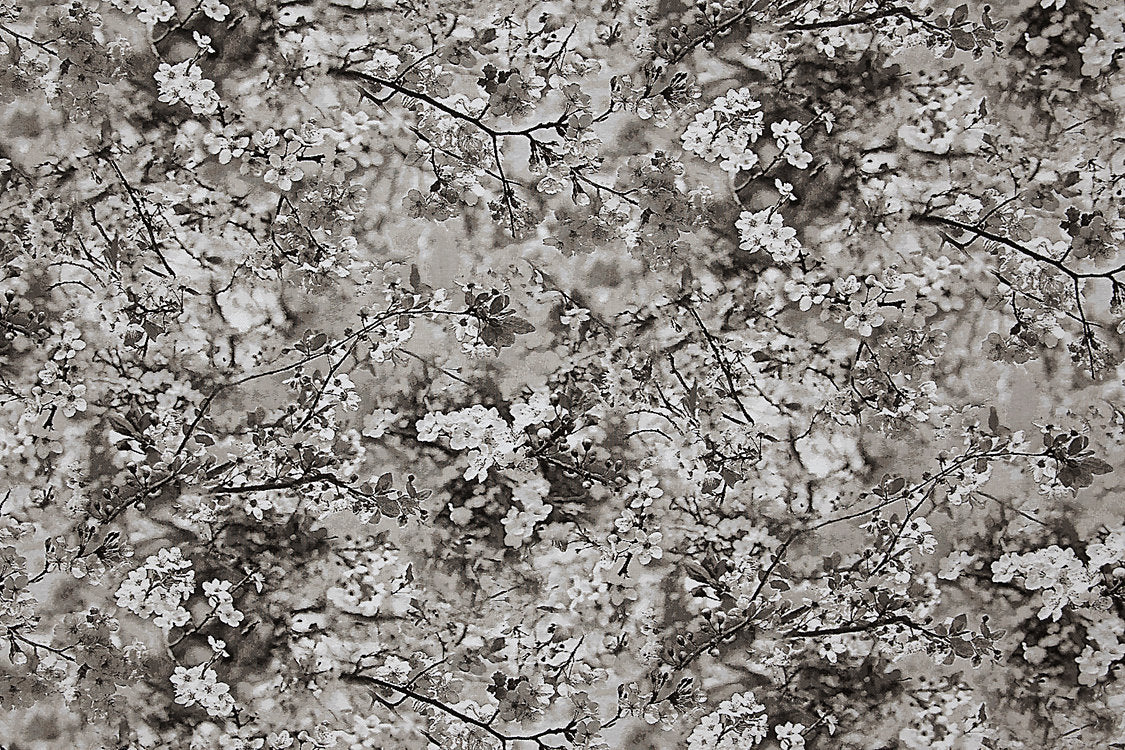 Sakura Tapestry - Naturel