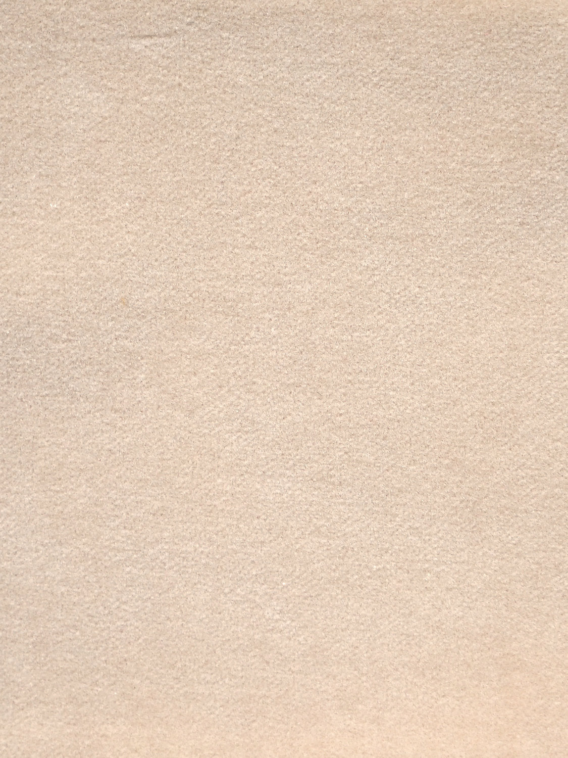 Cosmos - Sable - Scalamandre Fabric