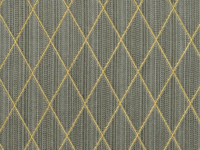 Filin - Acier - Scalamandre Fabric