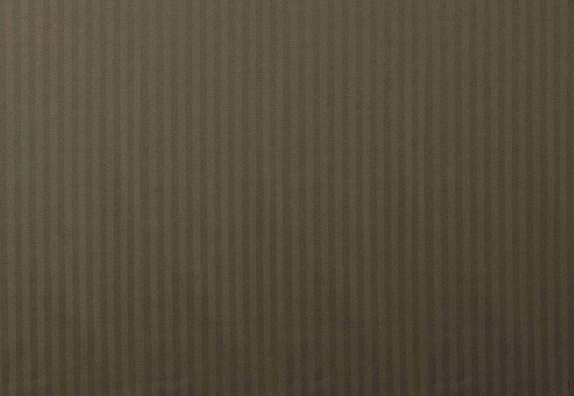 Tailor M1 - Vison