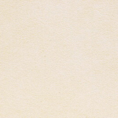 Alcantara - Ivoire - Scalamandre Fabric