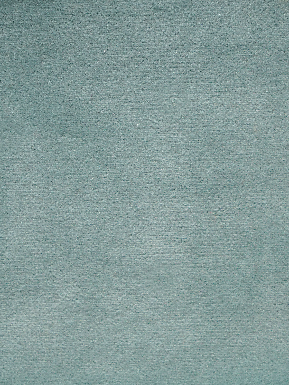 Cosmos - Celadon