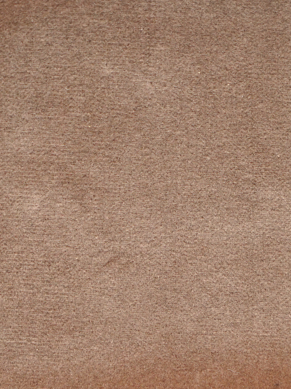 Cosmos - Chatain - Scalamandre Fabric