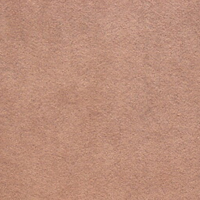 Alcantara - Biche