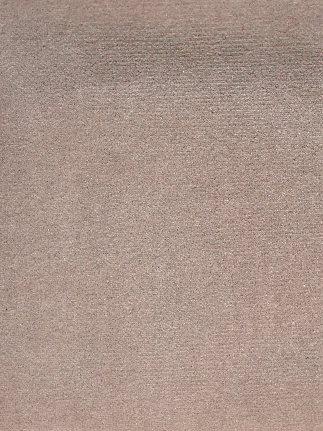 Cosmos - Taupe