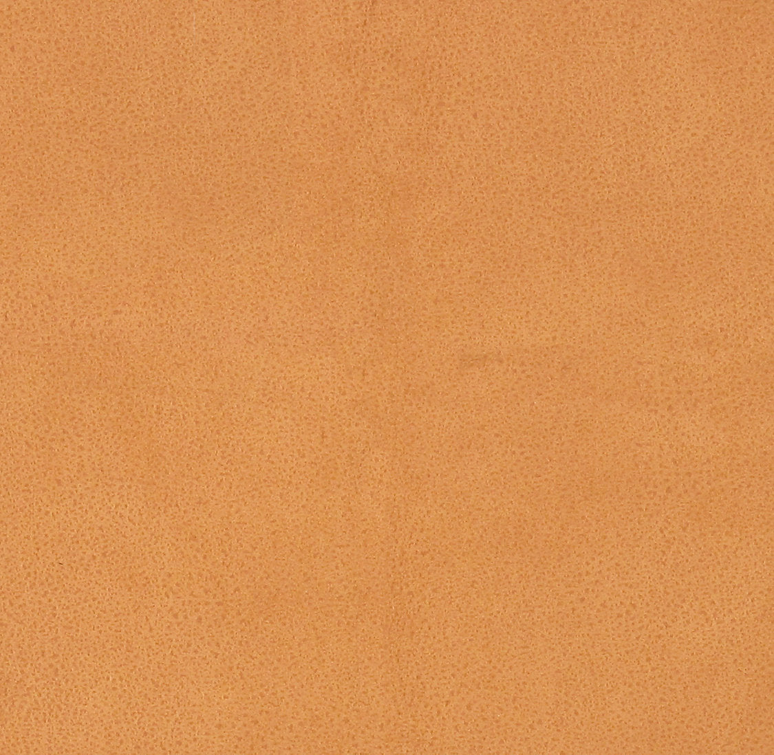 Western - Antilope
