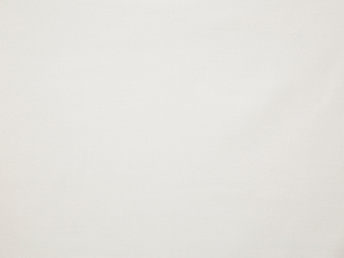 Toucan - Sucre - Scalamandre Fabric
