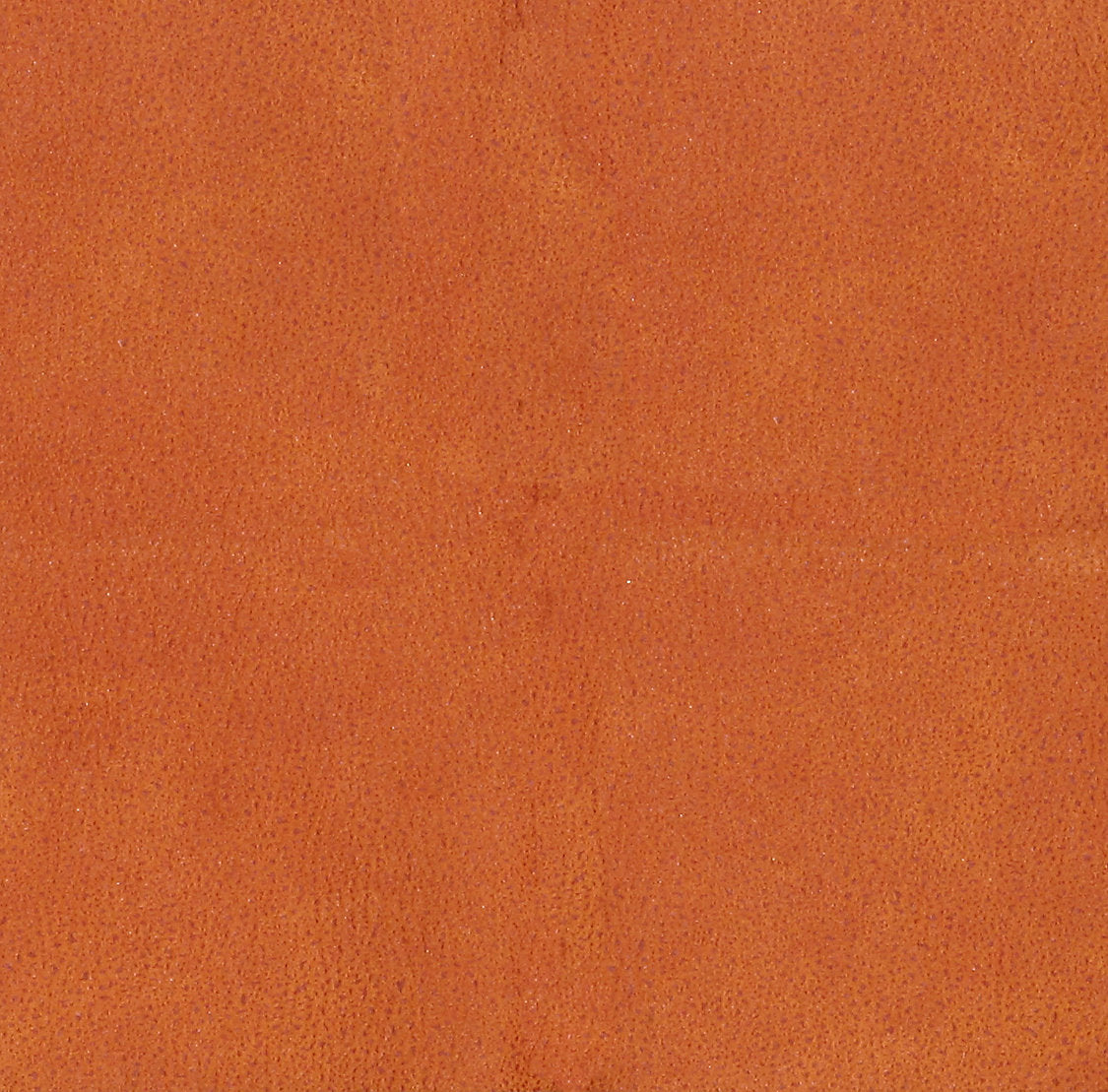 Western - Fauve