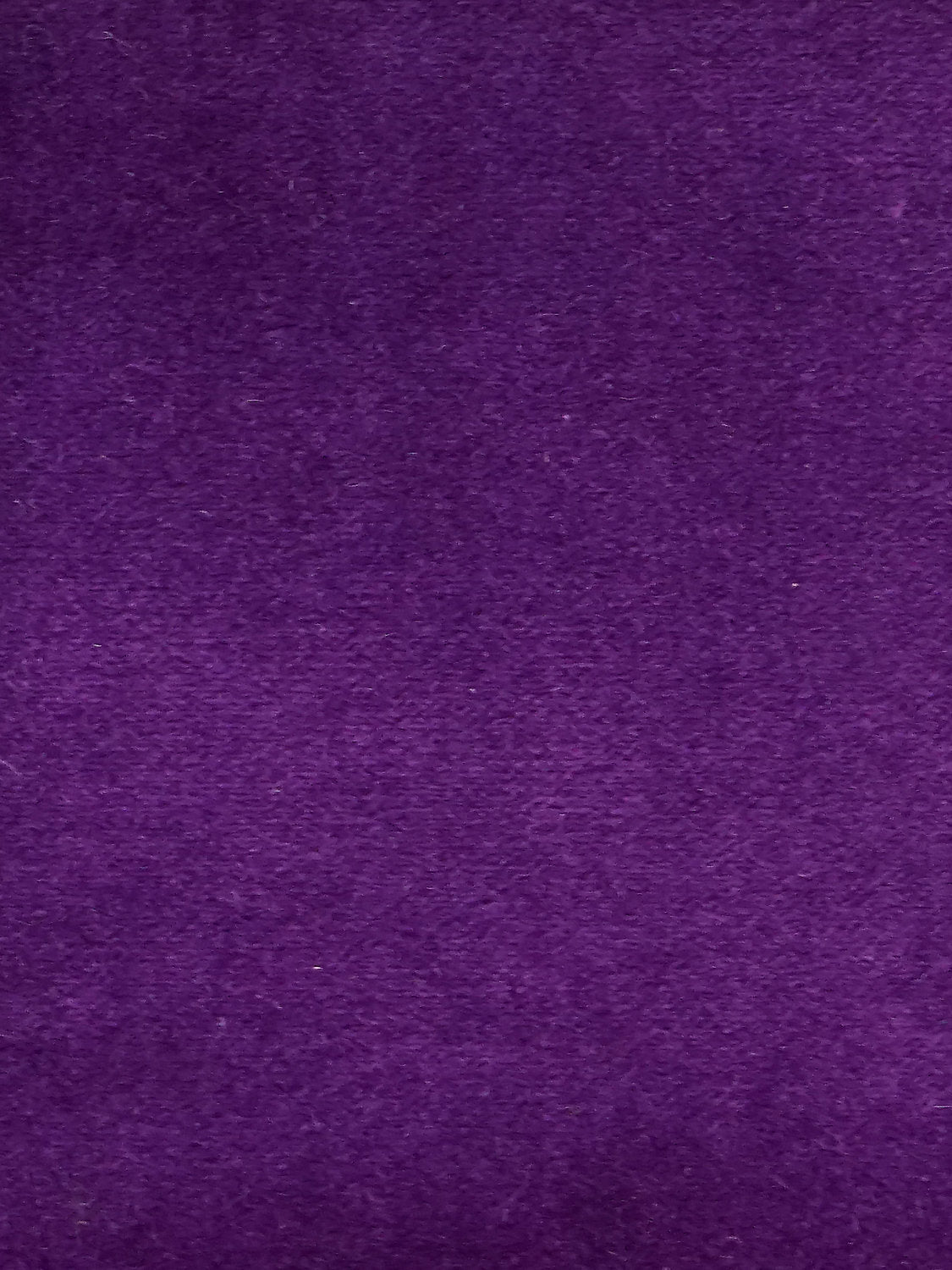 Cosmos - Violet