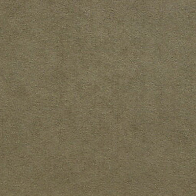 Alcantara - Saule