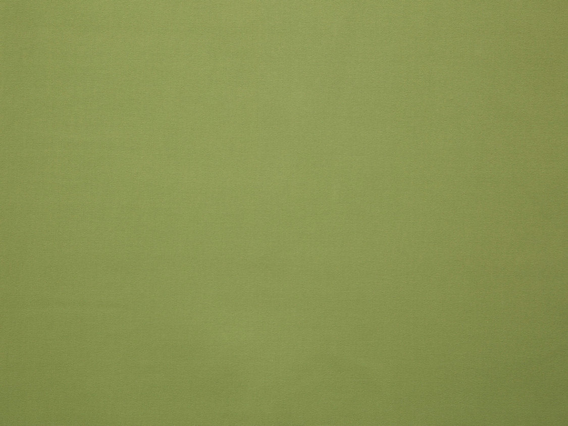 Toucan - Lime