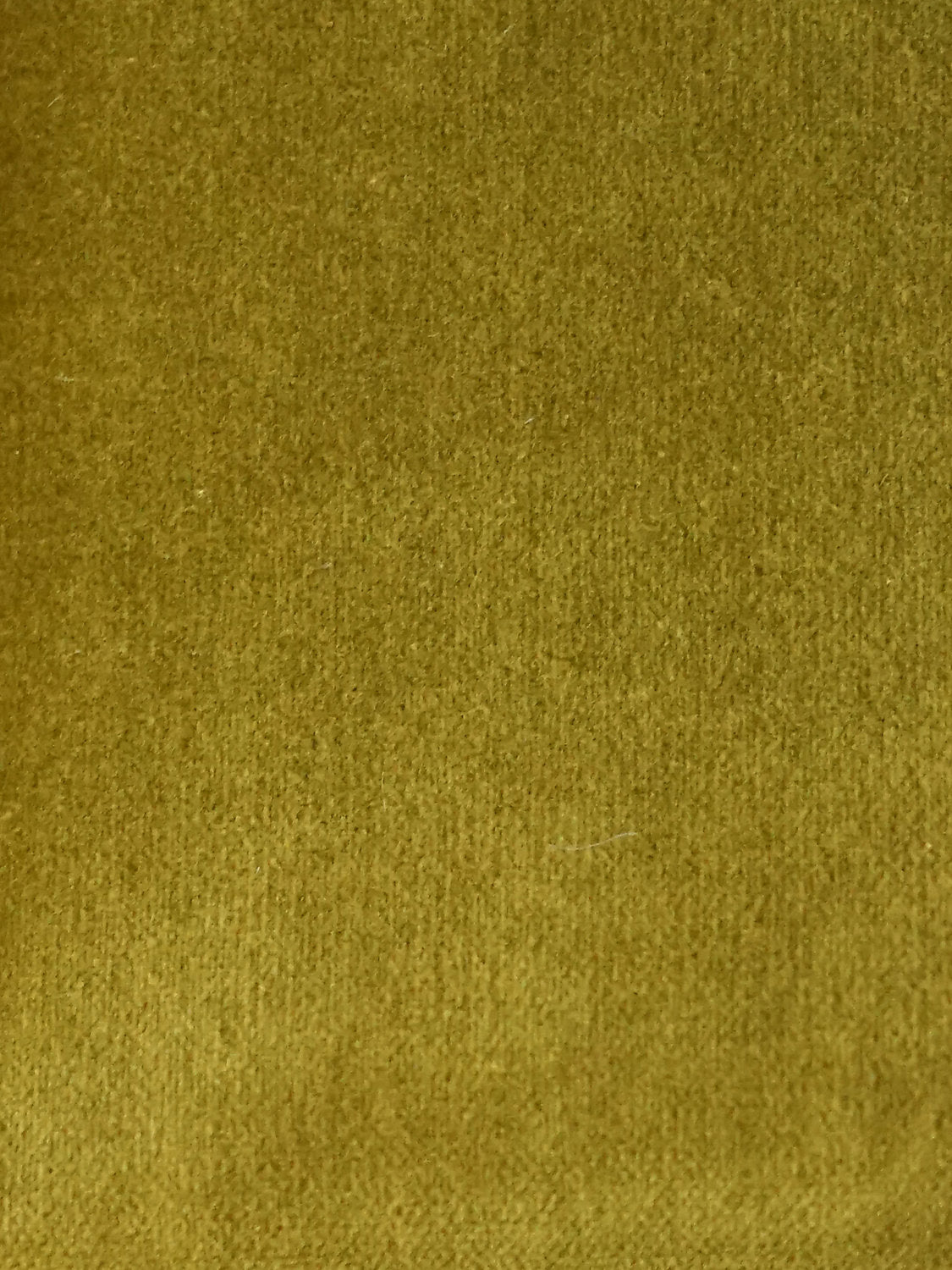 Cosmos - Mousse - Scalamandre Fabric