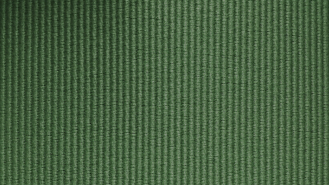 Vizir - Foret - Scalamandre Fabric