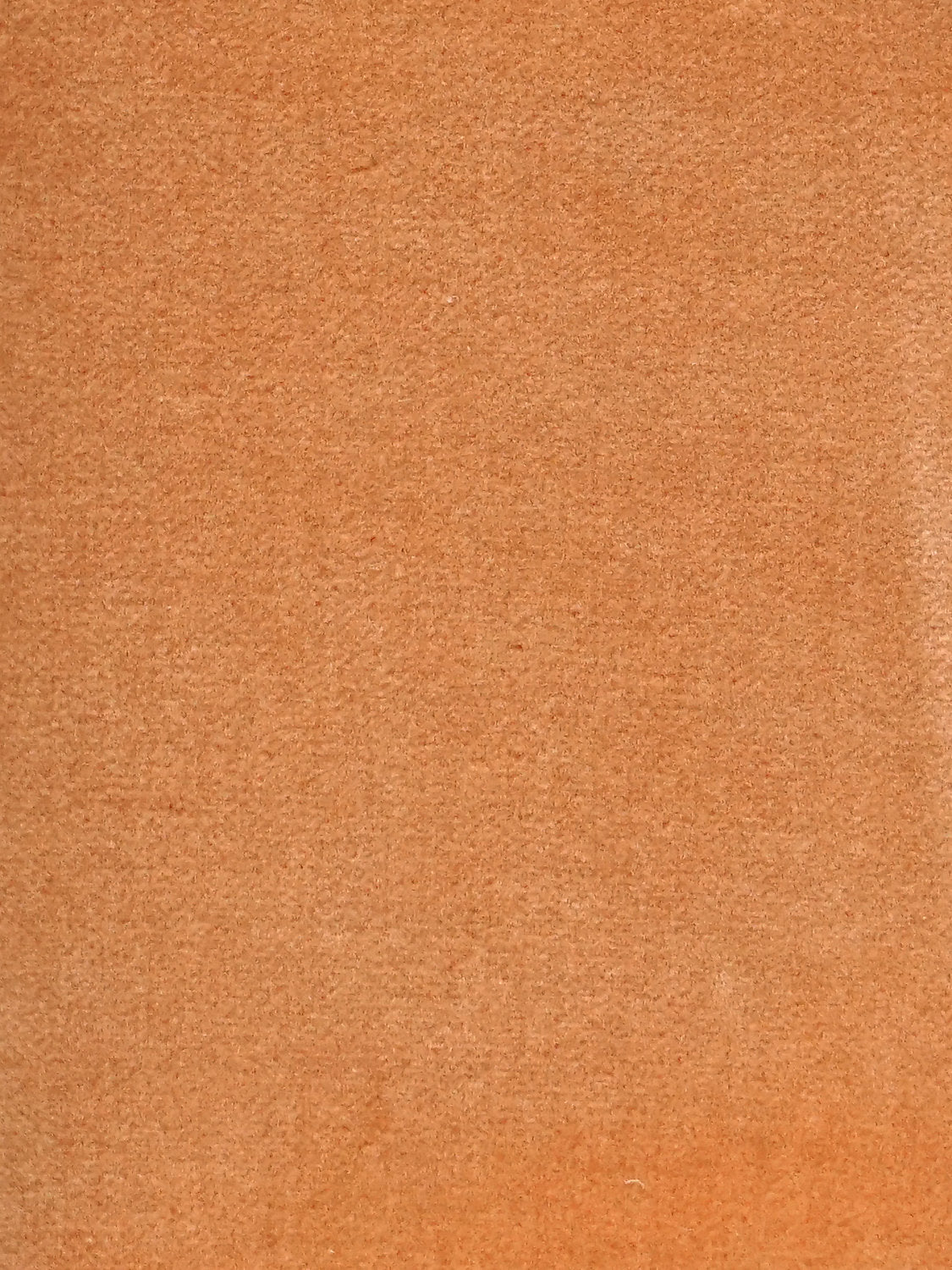 Cosmos - Daim