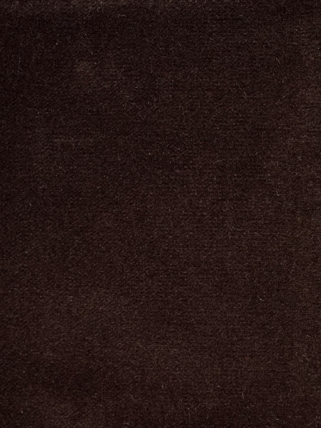 Cosmos - Brun
