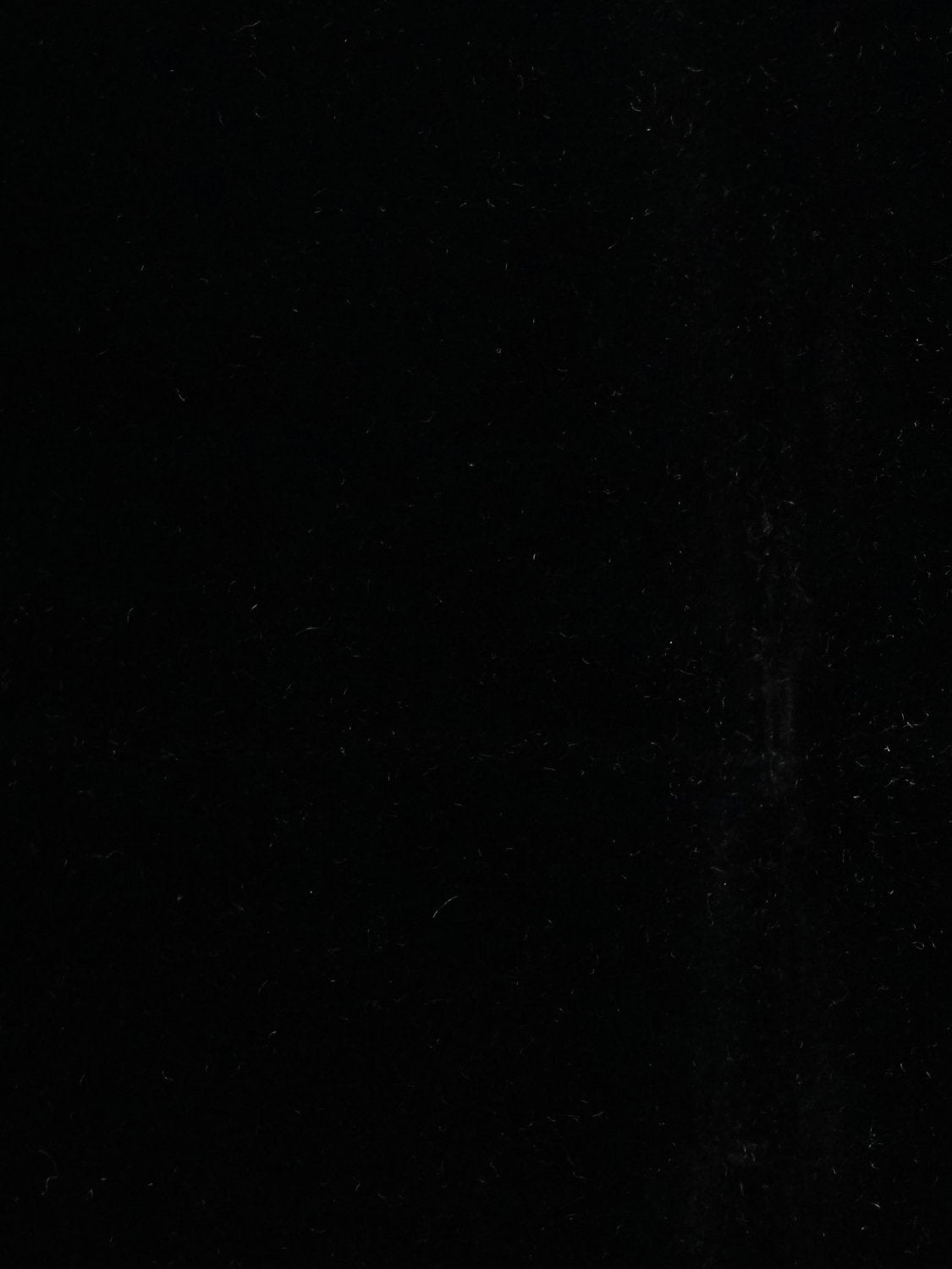 Cosmos - Noir - Scalamandre Fabric