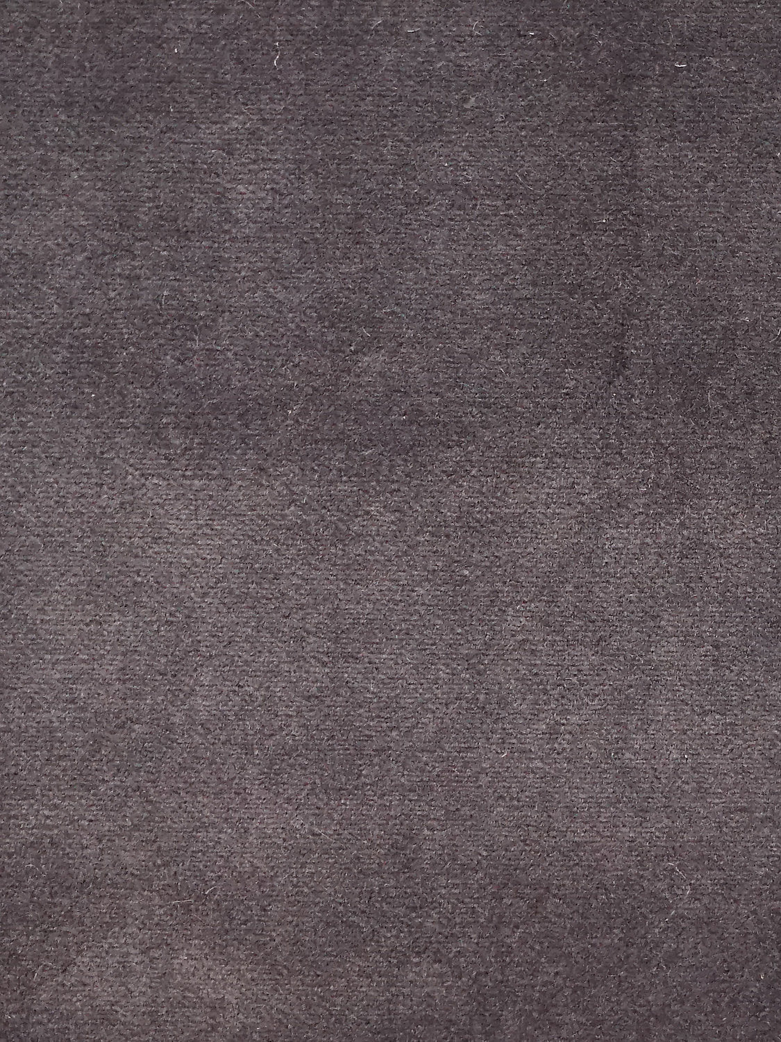 Cosmos - Charbon - Scalamandre Fabric