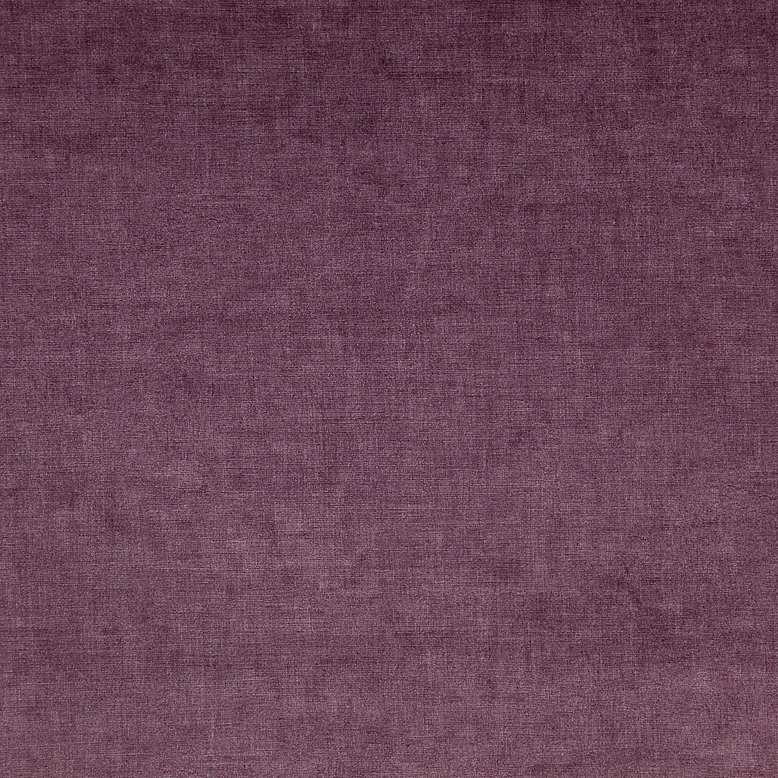 Smart - Amethyste - Scalamandre Fabric