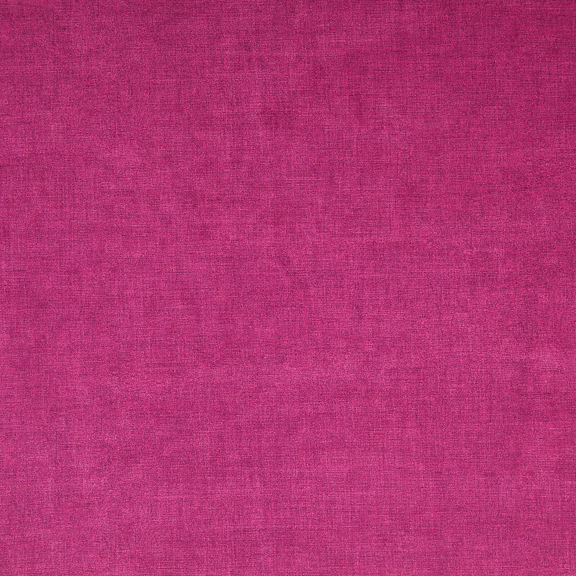 Smart - Pivoine - Scalamandre Fabric