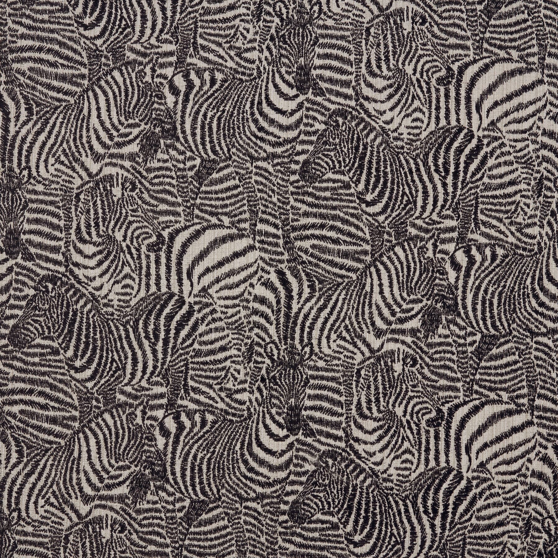 Hawleyville 2 Zebra by Stout Fabric
