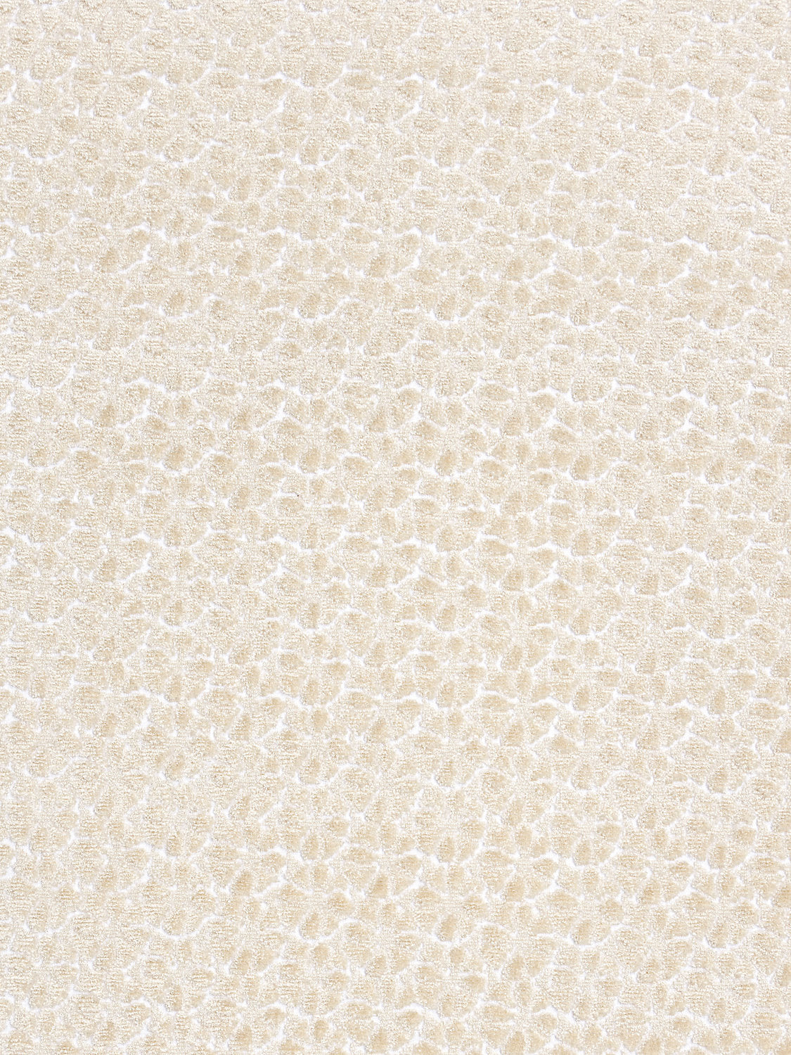 Petal Velvet - Ivory - Scalamandre Fabric