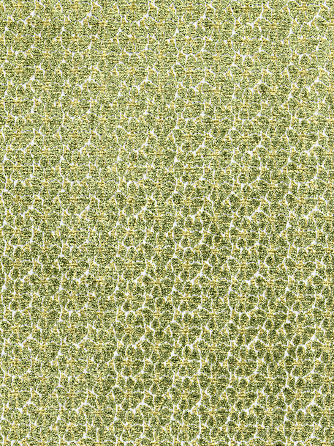 Petal Velvet - Leaf - Scalamandre Fabric