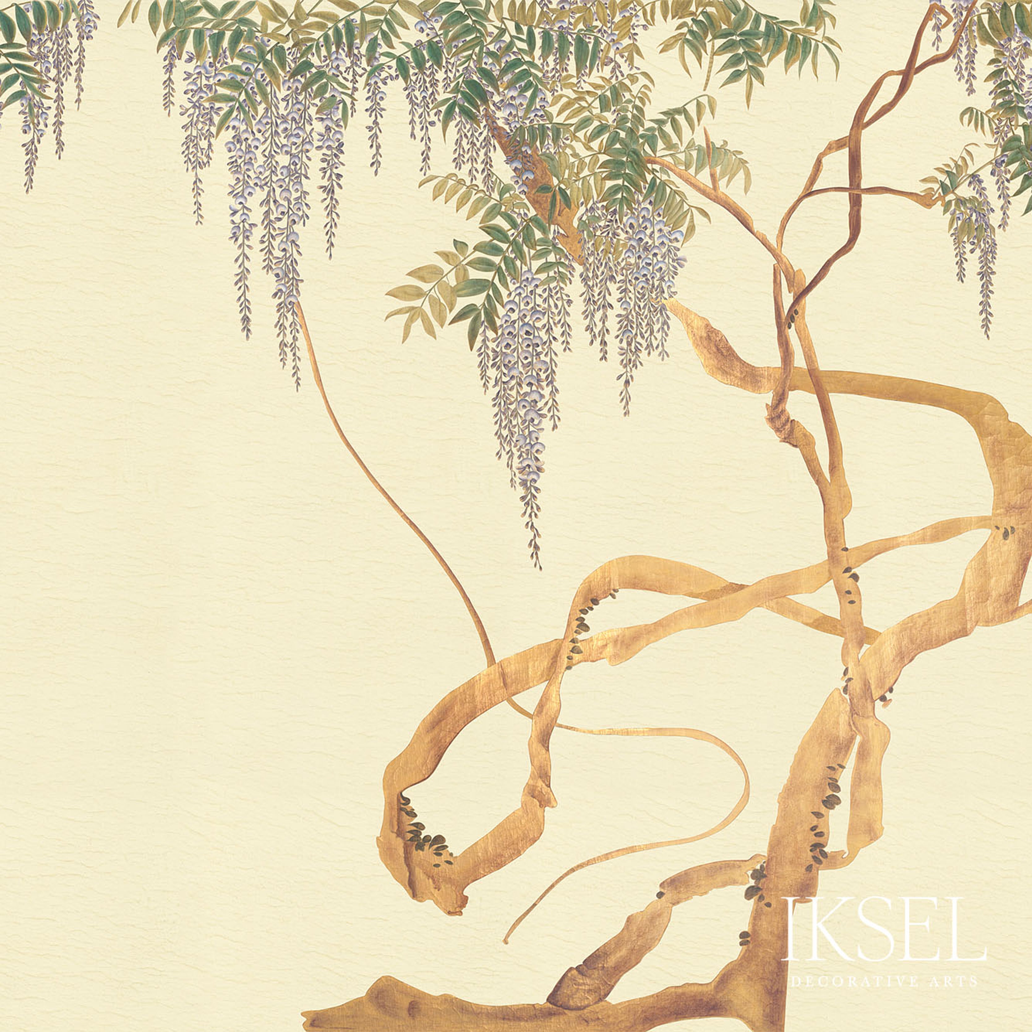 EDO-WISTERIA-IVORY-SCHUMACHER-IK2606
